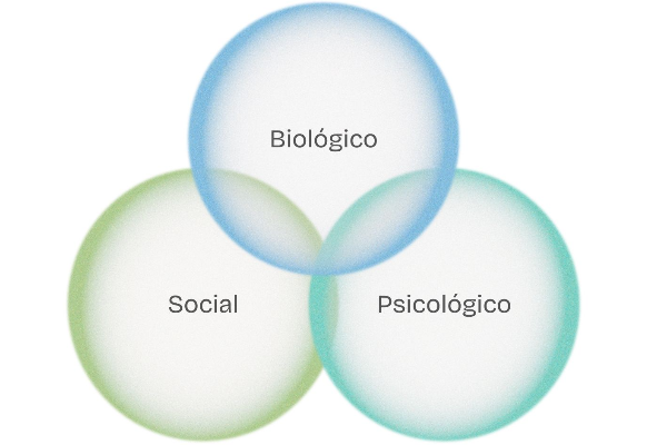 Biopsicossocial